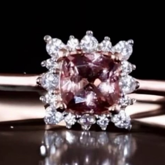 Meet your Posher, Terri - Picture 16 of 17